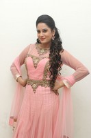 Himaja Photos at Shivam Audio Release